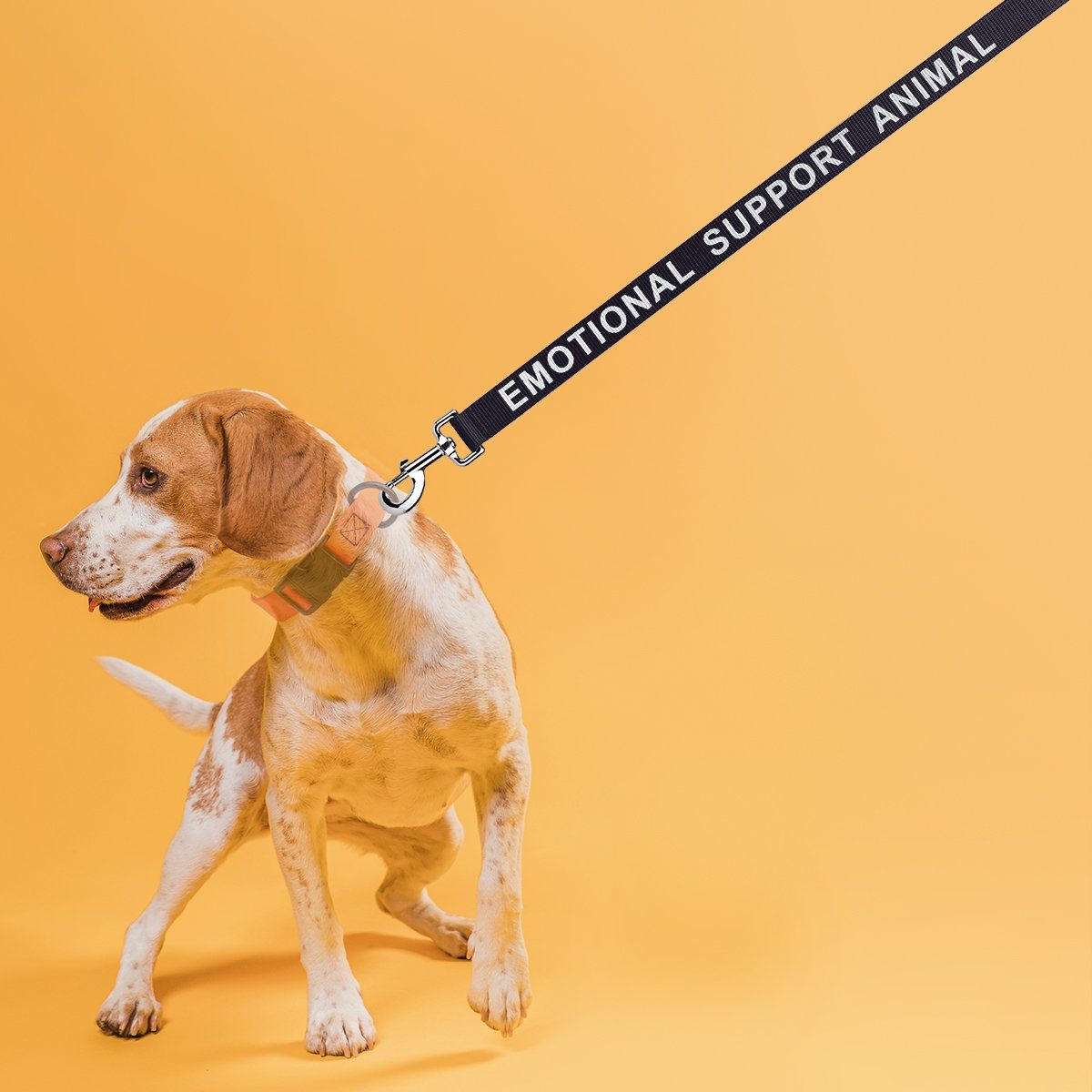 Reflective Red Nylon Leash - SERVICE DOG DO NOT PET