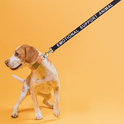 Reflective Red Nylon Leash - SERVICE DOG IN TRAINING