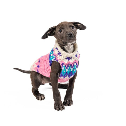 Barbie Ski Bum Dog Sweater