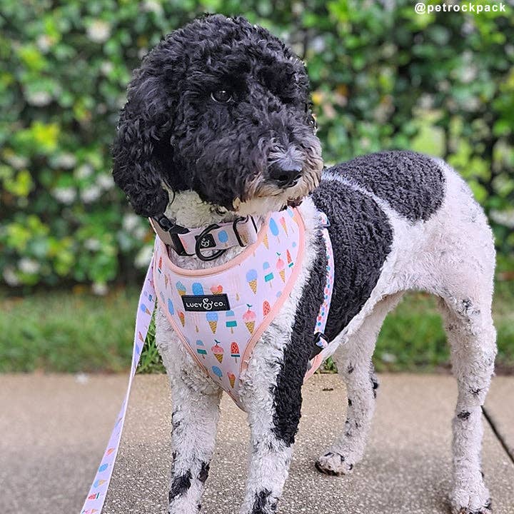 A Lotto Gelato Collar