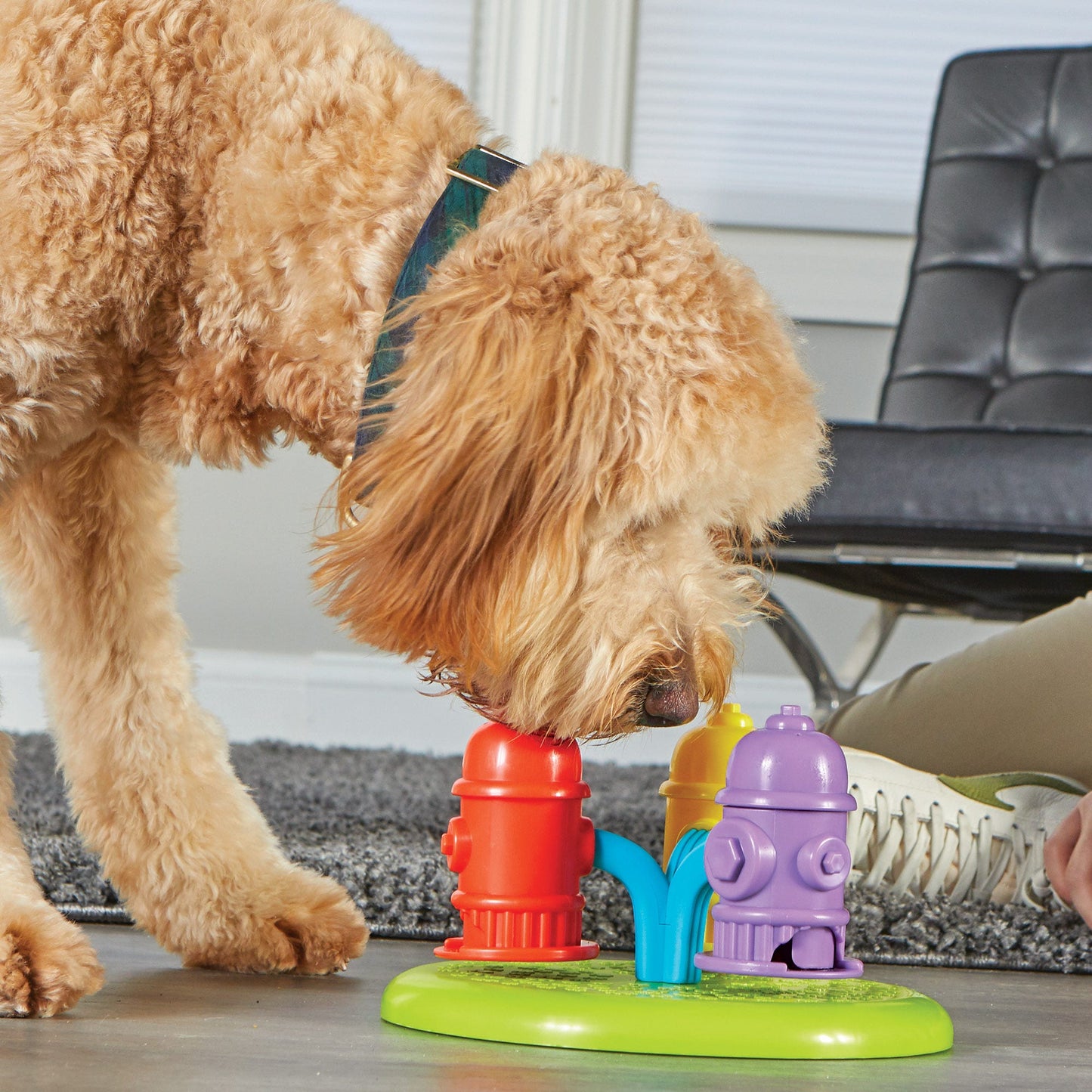 Spinning Hydrants Treat Puzzle