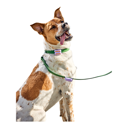 Woof Pet | Poomergency, Green