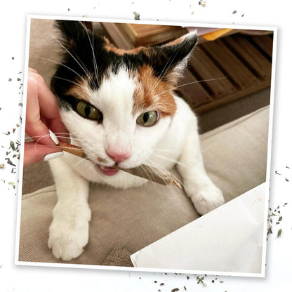 Meowijuana | Catnibas King Size Rollies