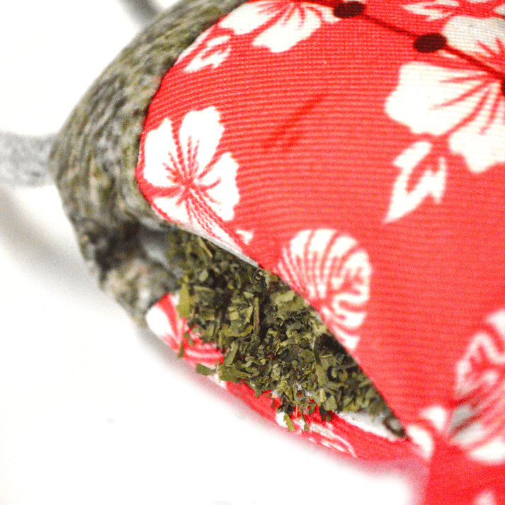 Meowijuana | Jump 'n' Jamb - Get Wild Sloth Interactive Cat Toy