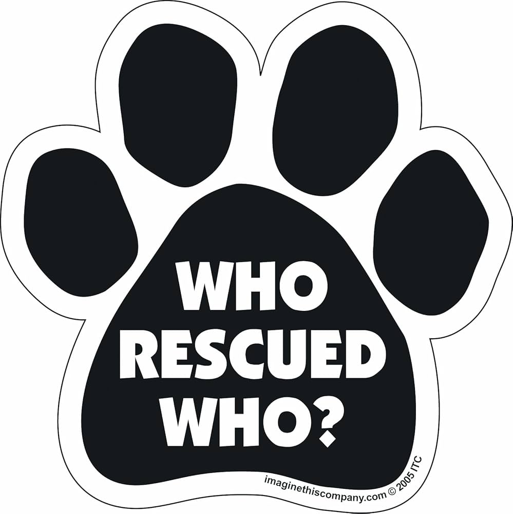 Car Magnet - Who rescued who?