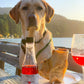 Dog Wine - ZinfanTail Fish Oil + Bone Health Liquid Supplement