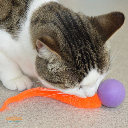 Wiggly Pong - Cat Toy Plastic Pong Ball