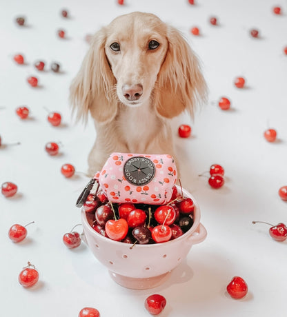 Dog Waste Bag Holder - Mon Chérry