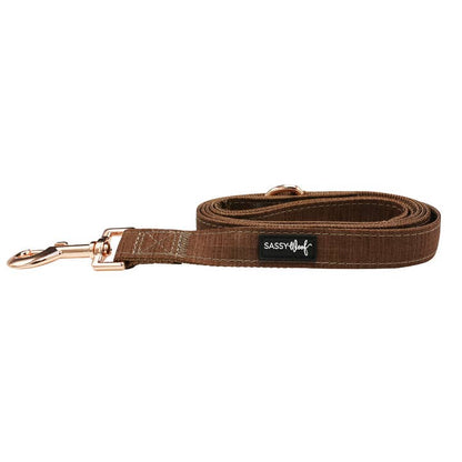 Dog Leash - Teddy