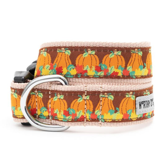 Pumpkin Patch Dog Collar