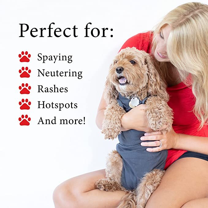 BellyGuard Recovery Suit For Dogs, Grey