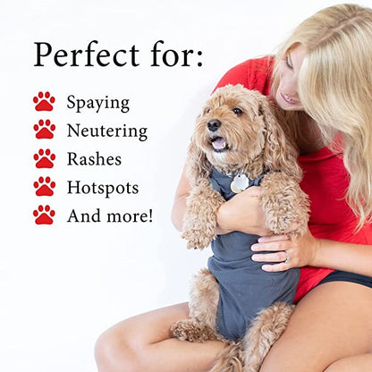 BellyGuard Recovery Suit For Dogs, Grey