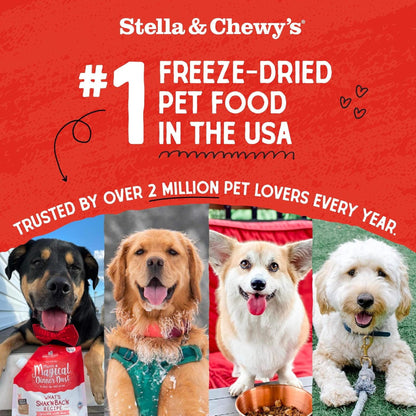 Stella & Chewy's | Freeze-Dried Raw Meal Mixers Dog Food Topper - Stella's Super Beef Recipe - 1 Ounce Bag
