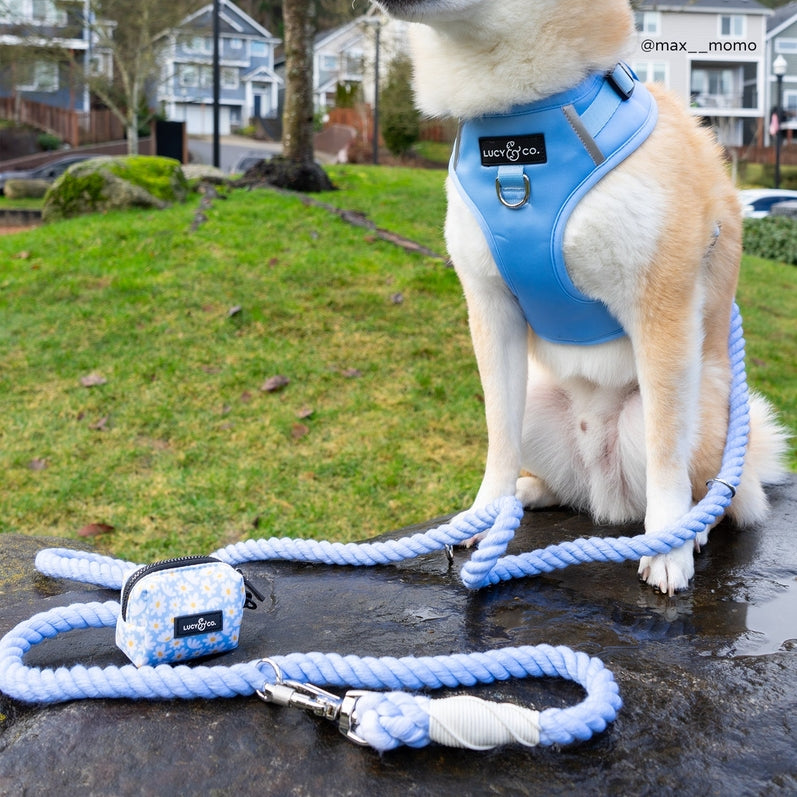 Hands-Free Rope Leash - The Denim Blue