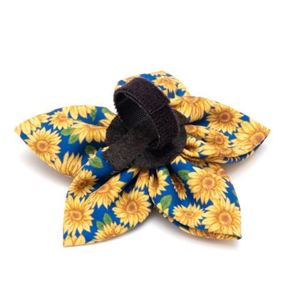 Sunflowers Flower
