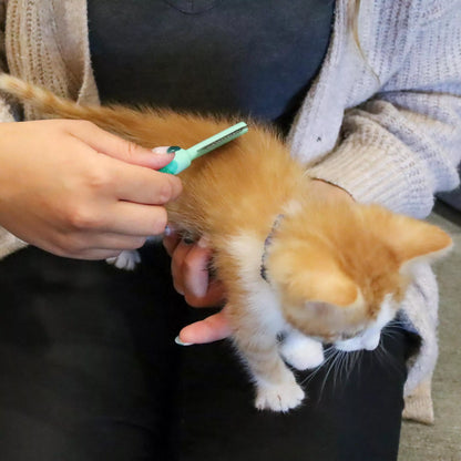 Li'l Pals Kitten Double-Sided Comb