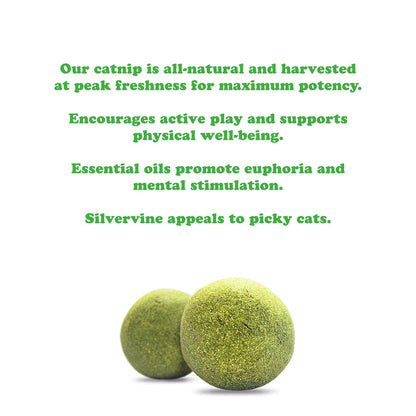 Purrple Passion Compressed Catnip Ball Refill - 2 Pack