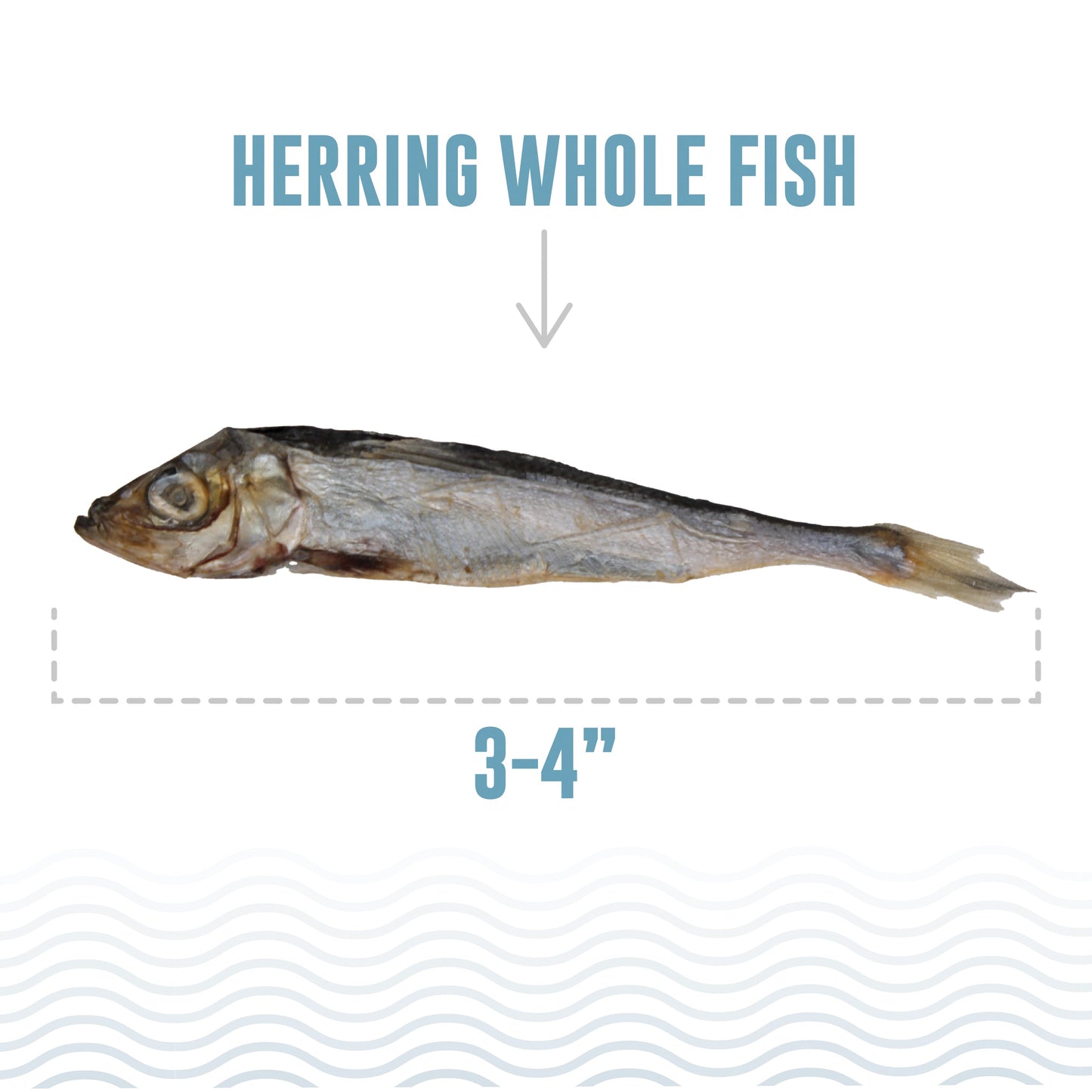 Icelandic+ Herring Whole Fish Cat Treats 1.5oz