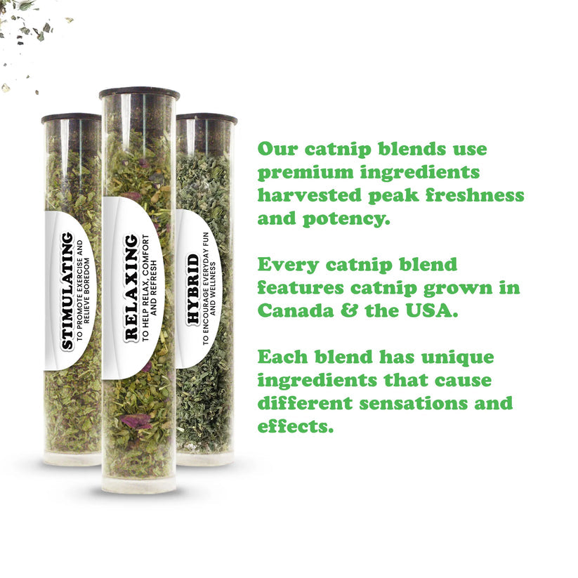 Meowijuana | Catnip Sampler 3 Pack
