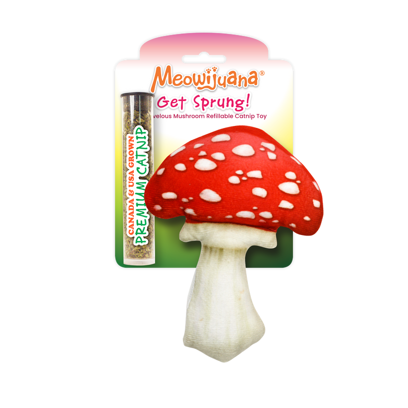 Get Sprung Refillable Mushroom