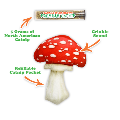 Get Sprung Refillable Mushroom