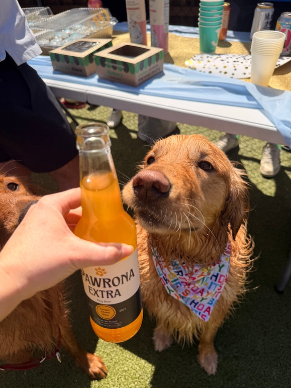 Paw-Rona Dog Beer 12oz