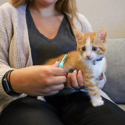 Li'l Pals Kitten Double-Sided Comb
