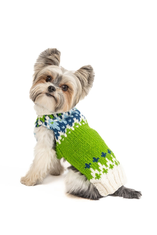 Spring Ski Bum Dog Sweater