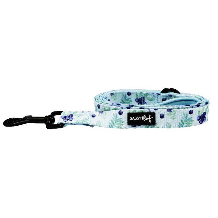 Dog Leash - Berry Sassy