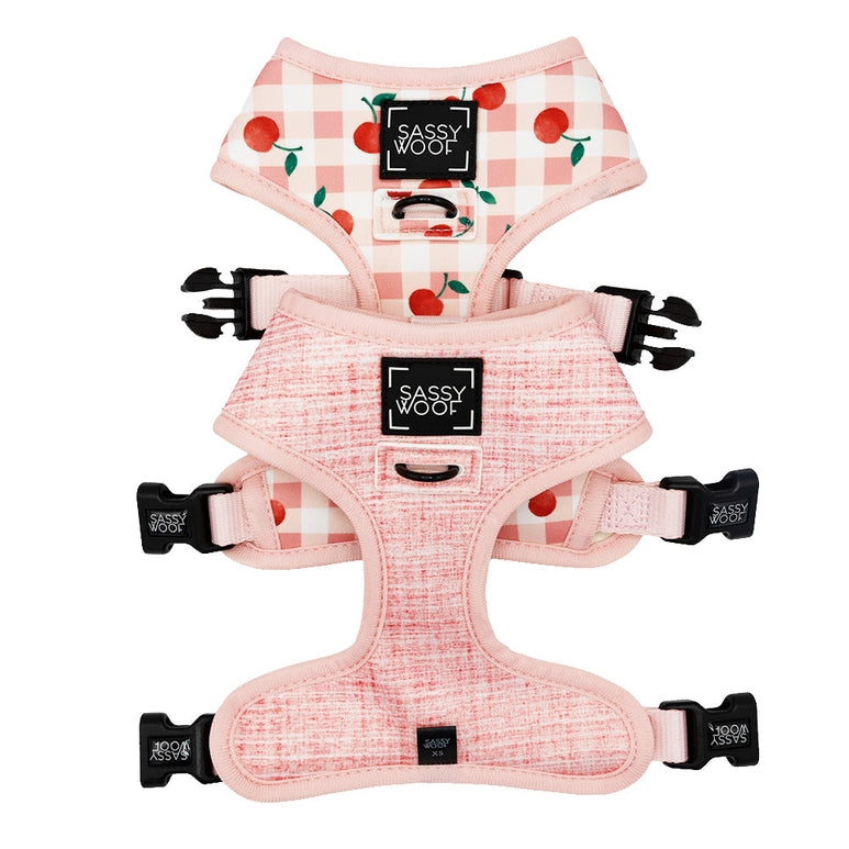 Dog Reversible Harness - Cherry Cute