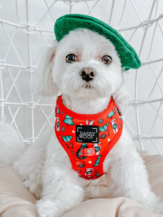O Christmas Treat Adjustable Dog Harness