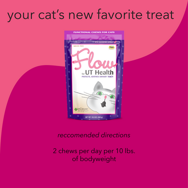 InClover Flow | UT Health Soft Chew With Cranberry Extract for Cats