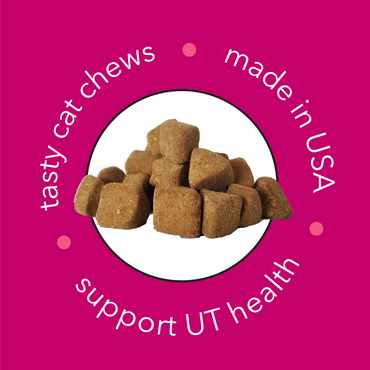 InClover Flow | UT Health Soft Chew With Cranberry Extract for Cats