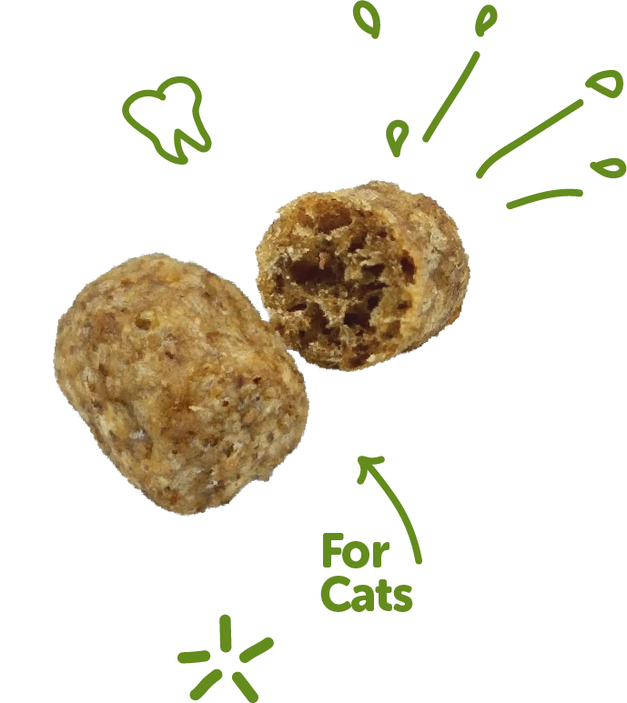 WHIMZEES Natural Cat Dental Treats, Chicken & Tuna 2oz