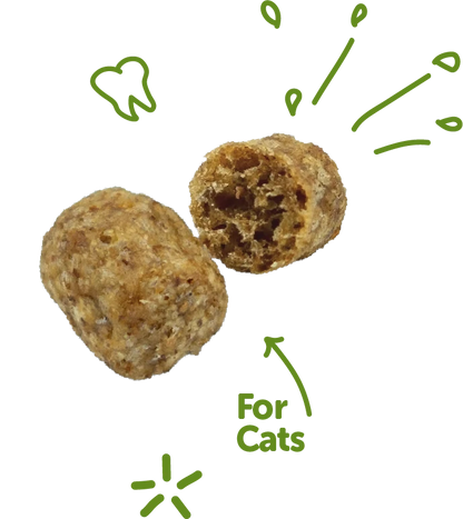 WHIMZEES Natural Cat Dental Treats, Chicken & Tuna 2oz
