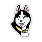 Dog Sticker -  Husky