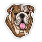 Dog Sticker -  English Bulldog