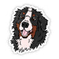 Dog Sticker - Bernese Mountain Dog