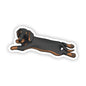 Dog Sticker - Weiner Dog