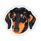 Dog Sticker - Dachshund Wiener Dog