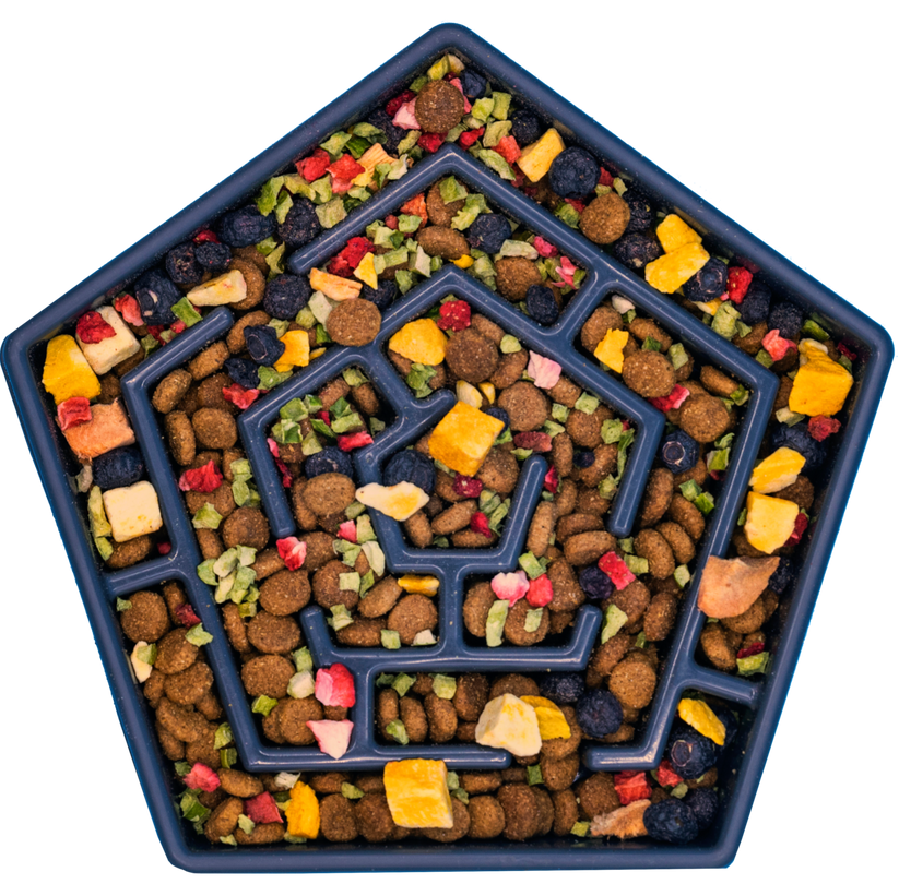 BareNaked Dog Food Meal Mixer - Salmon