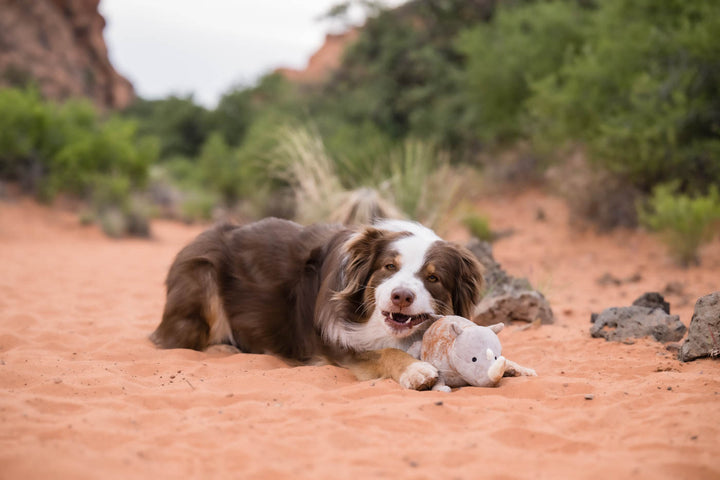 Big Five of Africa - Rhino Dog Toy