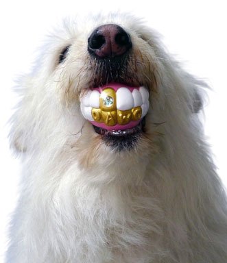 Humunga Bling - Durable Rubber Pet Chew Toy For Dogs