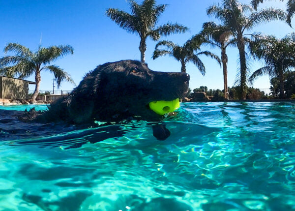 Multipet Breeze Ball 3" - Single Toy