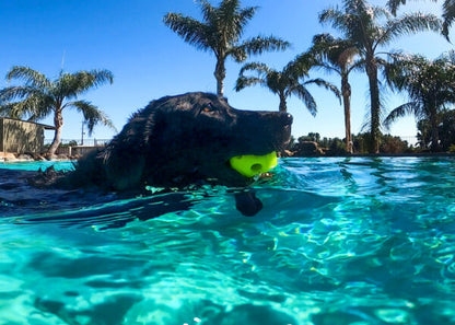 Multipet Breeze Ball 3" - Single Toy