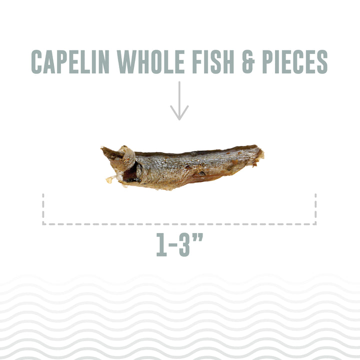 Icelandic+ Capelin Whole Fish & Pieces Cat Treats