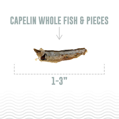 Icelandic+ Capelin Whole Fish & Pieces Cat Treats