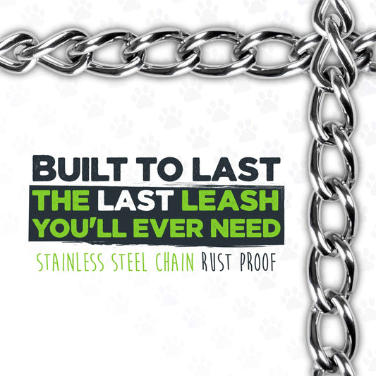 Chain Dog Leash