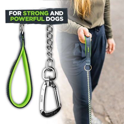 Chain Dog Leash