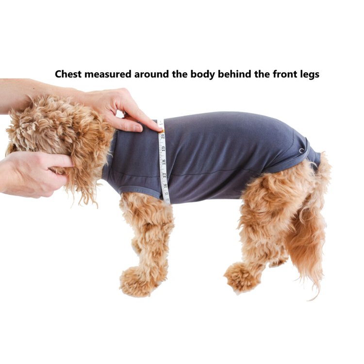 BellyGuard Recovery Suit For Dogs, Maroon